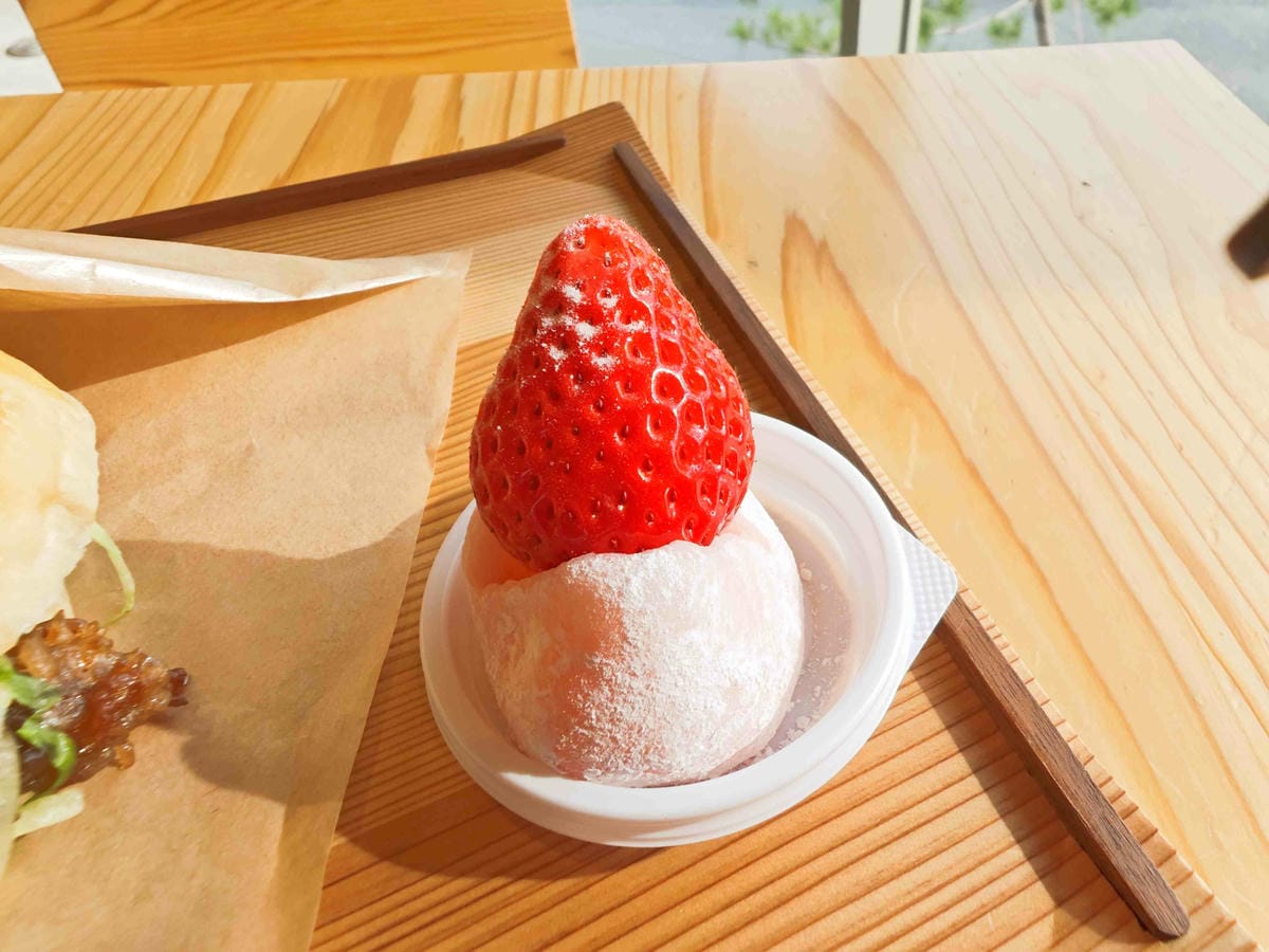 鳥取砂丘 (14).jpg