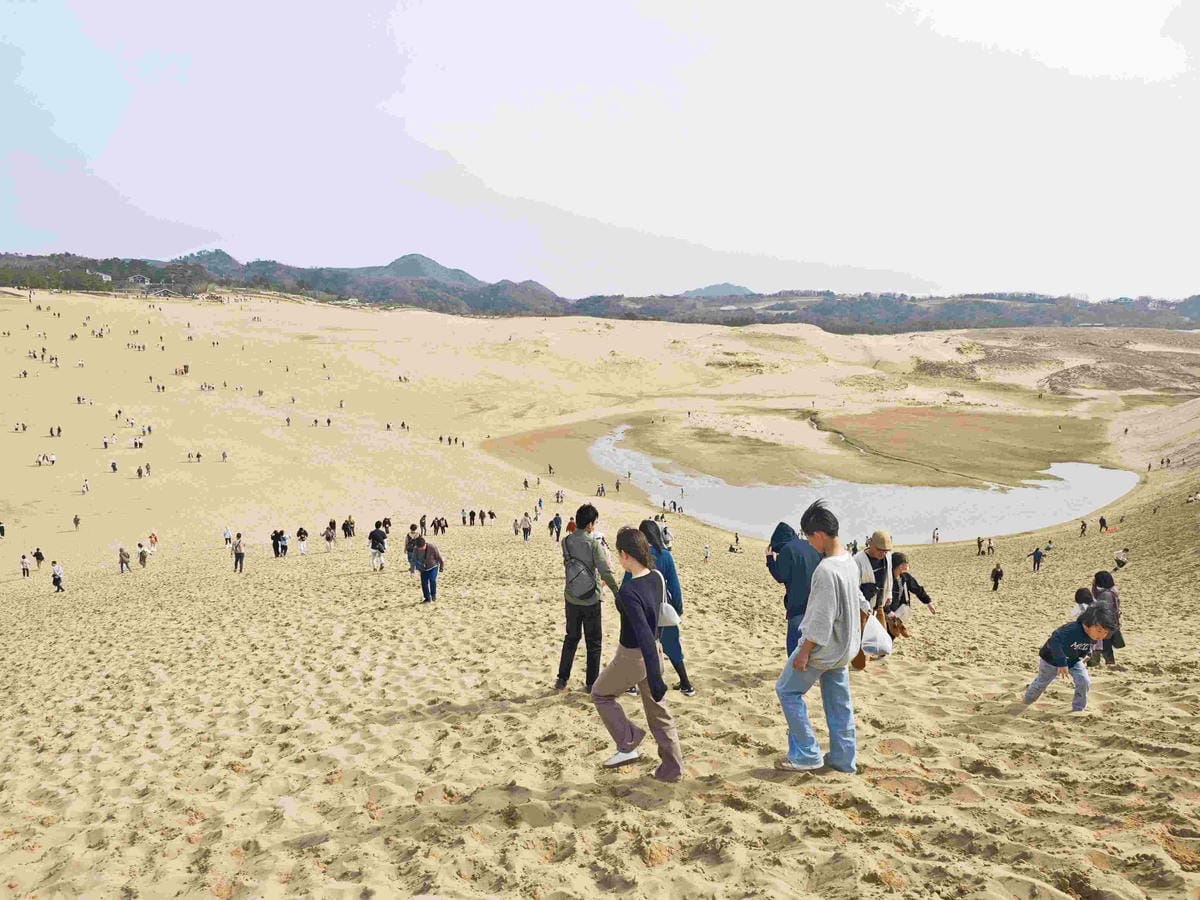 鳥取砂丘 (8).jpg