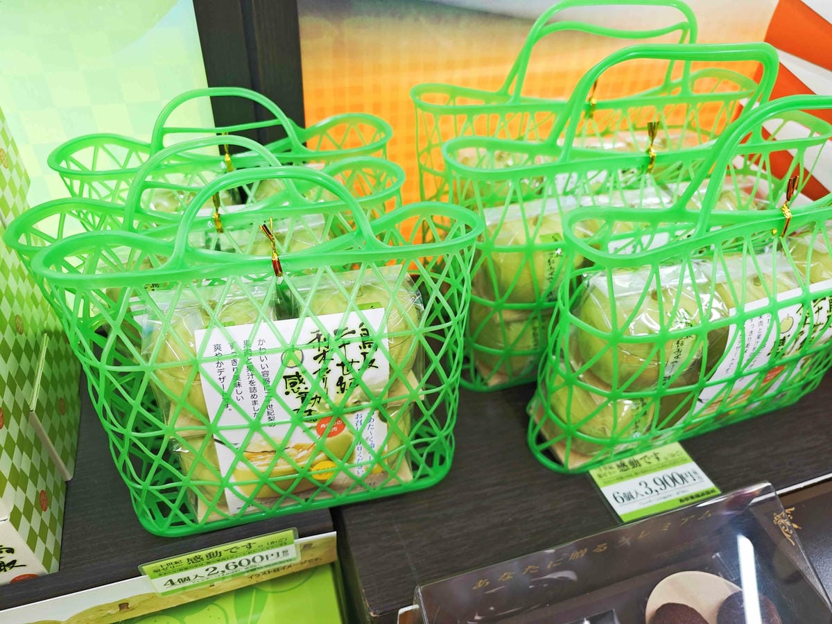 鳥取砂丘 (40).jpg