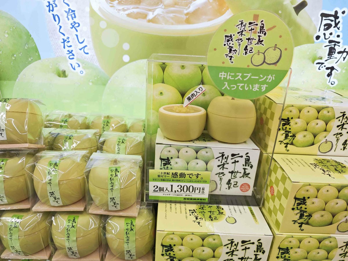 鳥取砂丘 (41).jpg