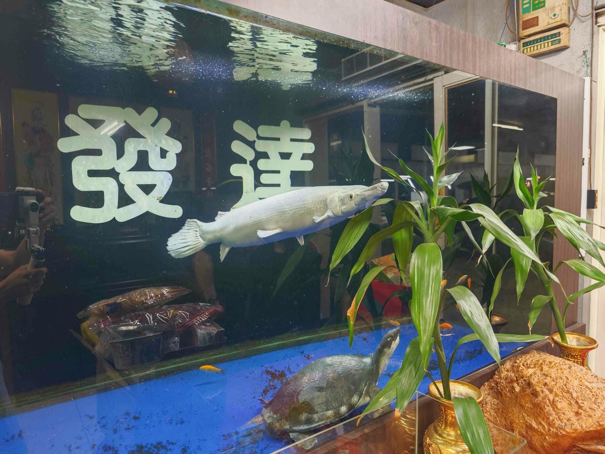 發達汽車 (39).jpg 發達汽車 (39).jpg