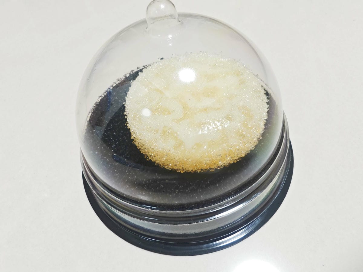 38G+ 酵素晶體 (57).jpg 38G+ 酵素晶體 (57).jpg