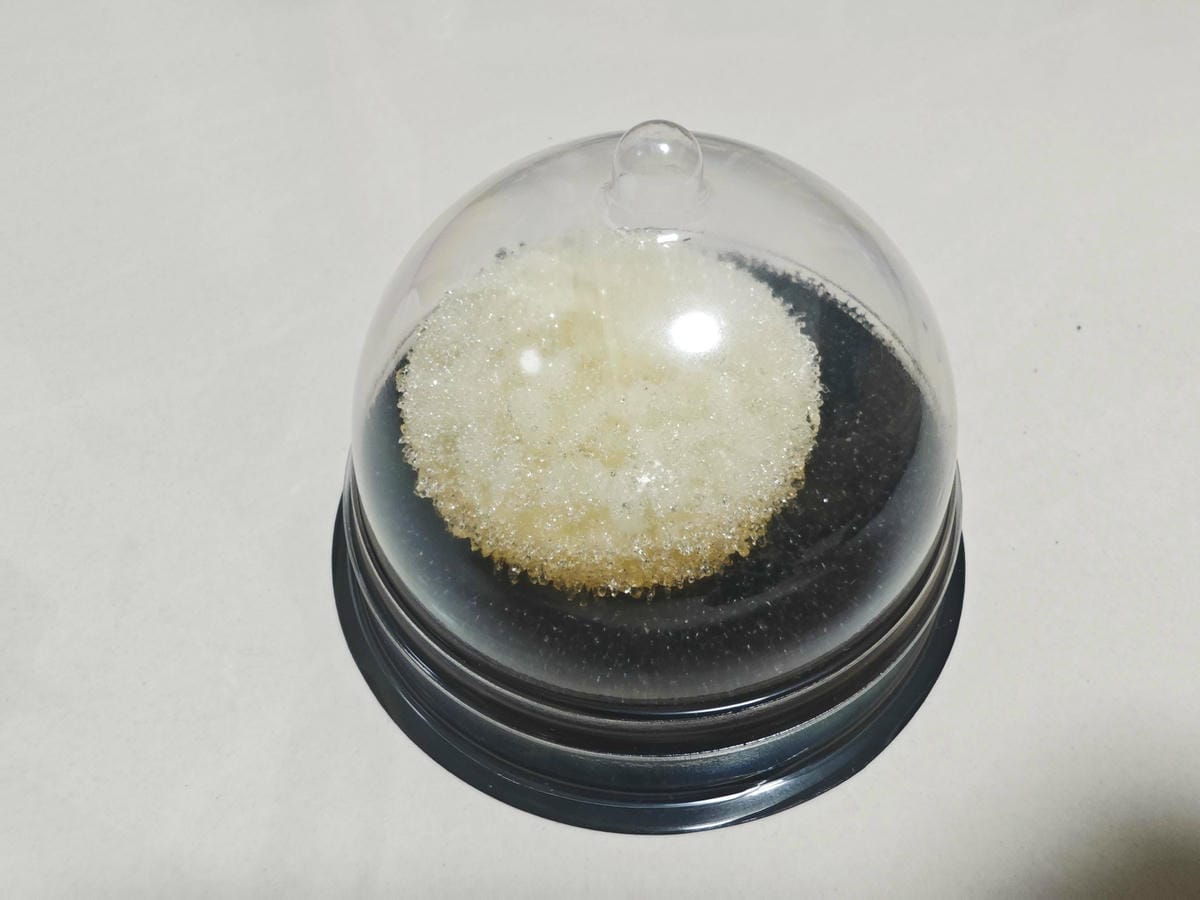 38G+ 酵素晶體 (59).jpg 38G+ 酵素晶體 (59).jpg