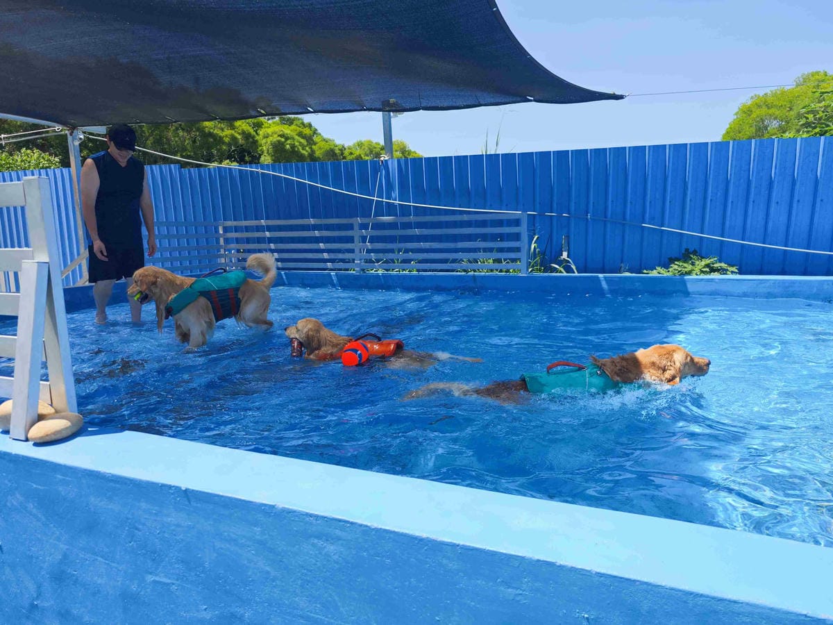 動物空間 (59).jpg 動物空間 (59).jpg