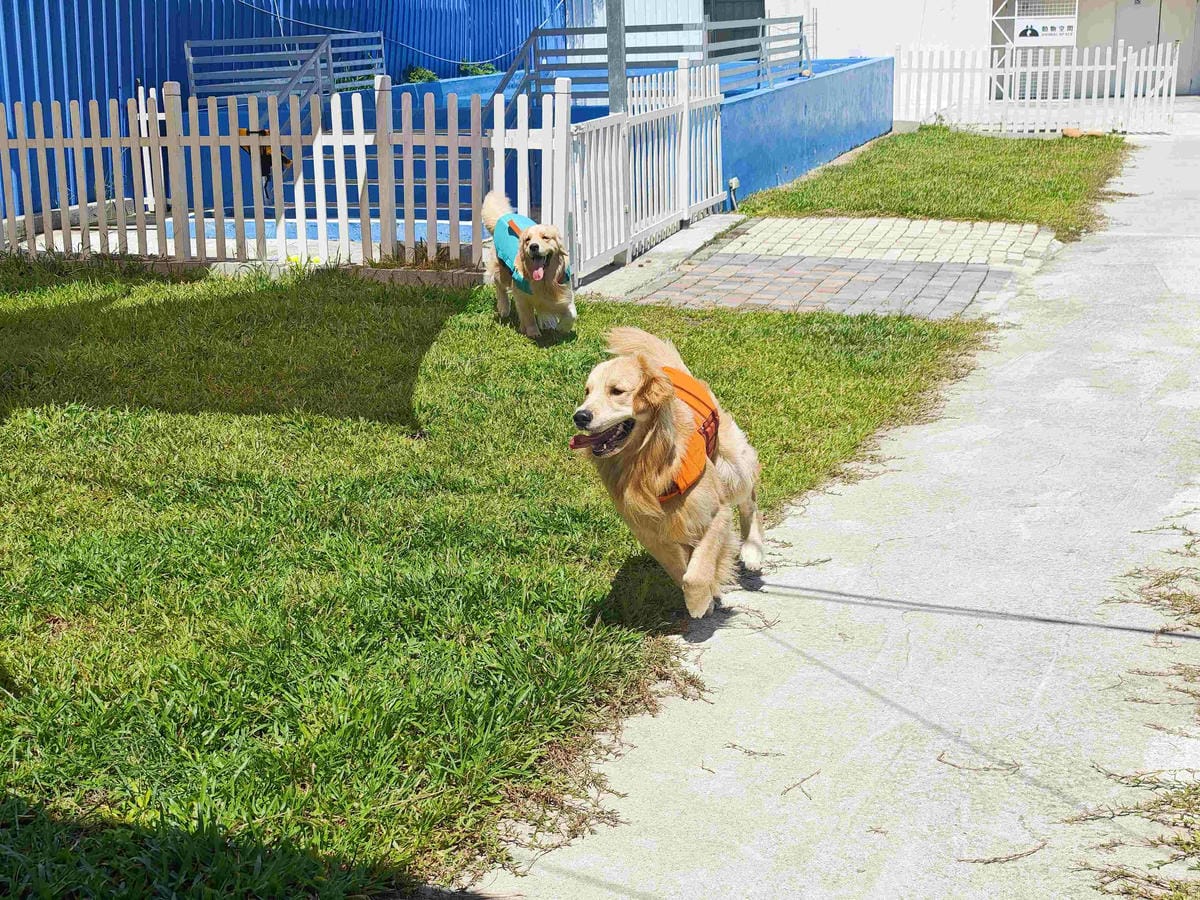 動物空間 (56).jpg 動物空間 (56).jpg