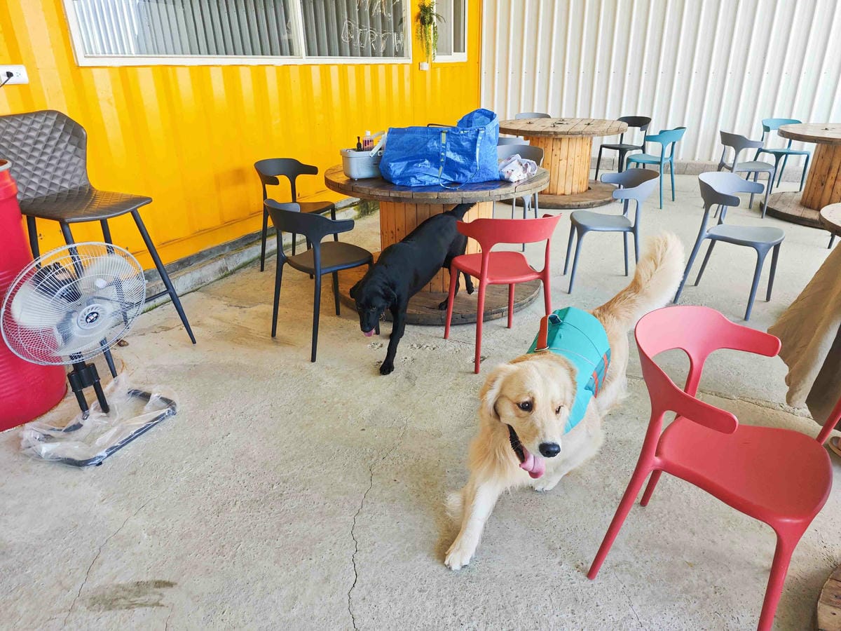 動物空間 (55).jpg 動物空間 (55).jpg