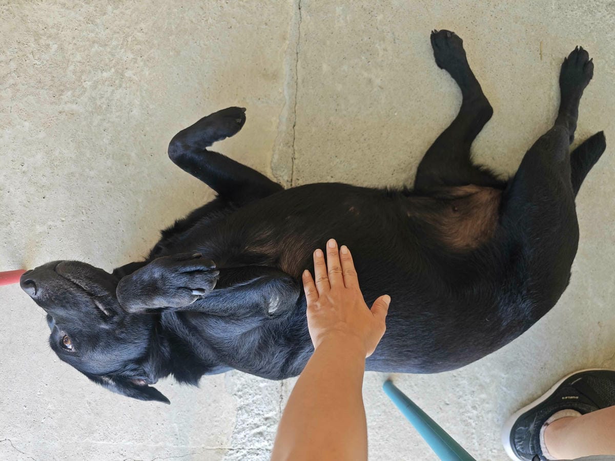 動物空間 (12).jpg 動物空間 (12).jpg