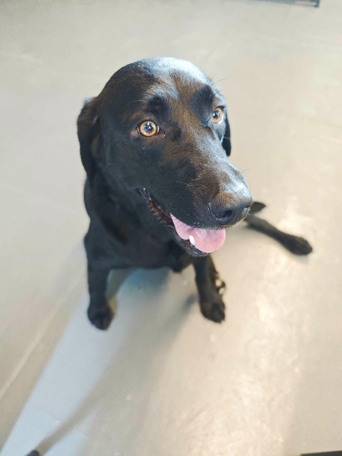 動物空間 (61).jpg 動物空間 (61).jpg