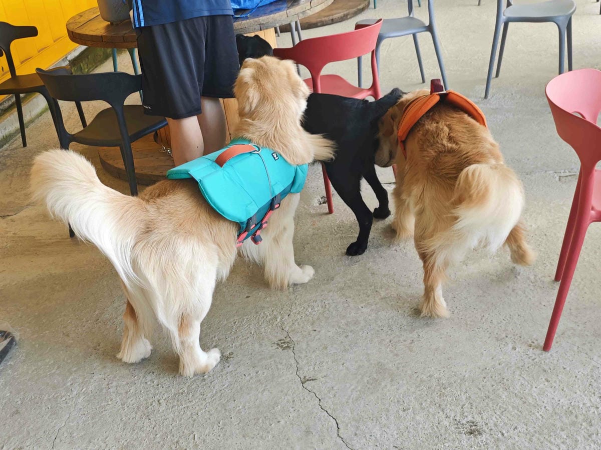 動物空間 (57).jpg 動物空間 (57).jpg