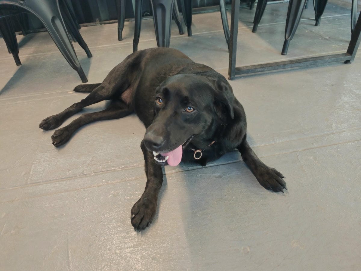 動物空間 (64).jpg 動物空間 (64).jpg