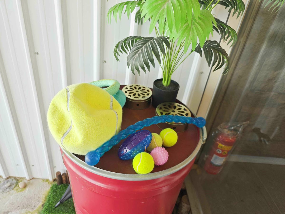 動物空間 (24).jpg 動物空間 (24).jpg