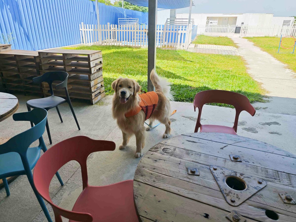 動物空間 (54).jpg 動物空間 (54).jpg