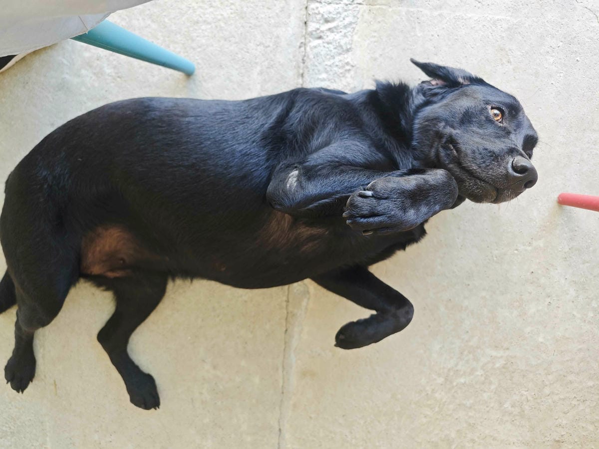 動物空間 (11).jpg 動物空間 (11).jpg