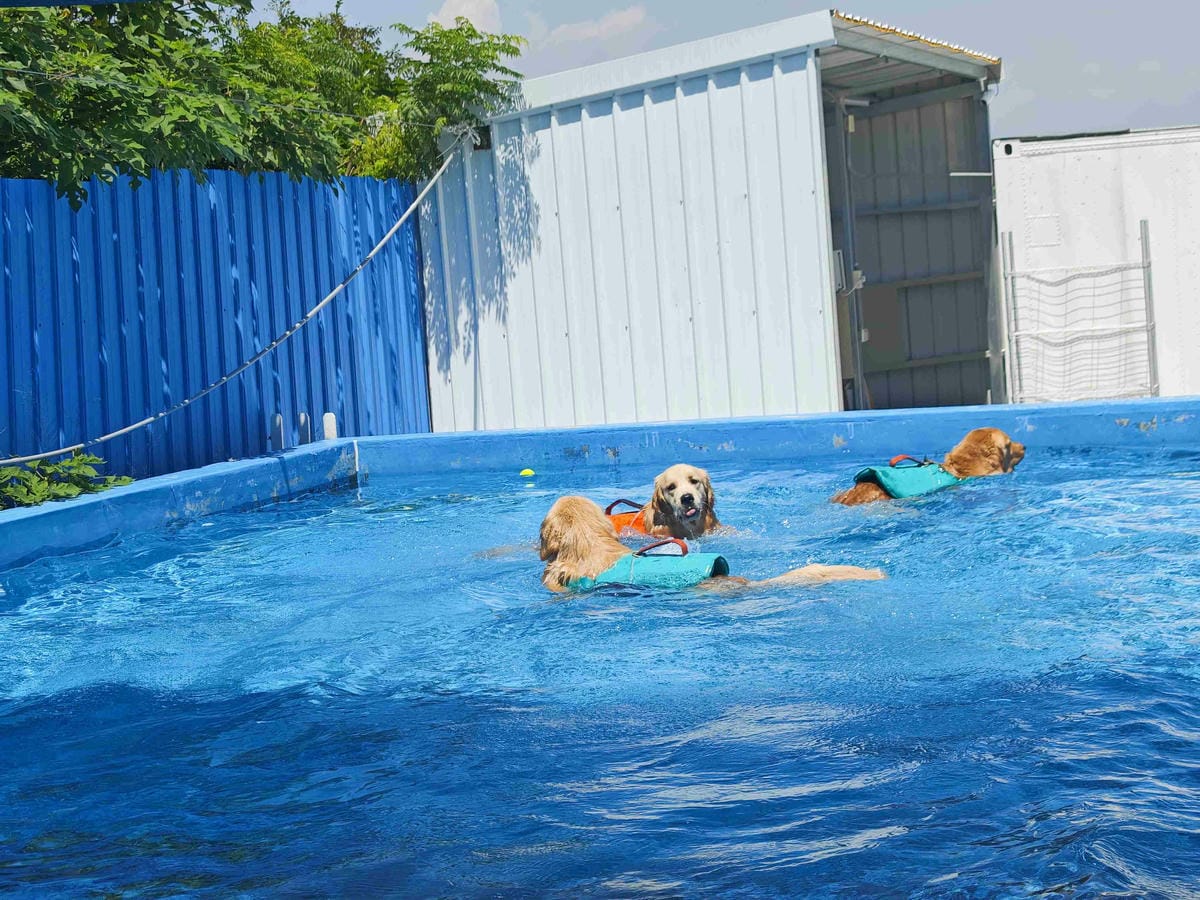 動物空間 (58).jpg 動物空間 (58).jpg