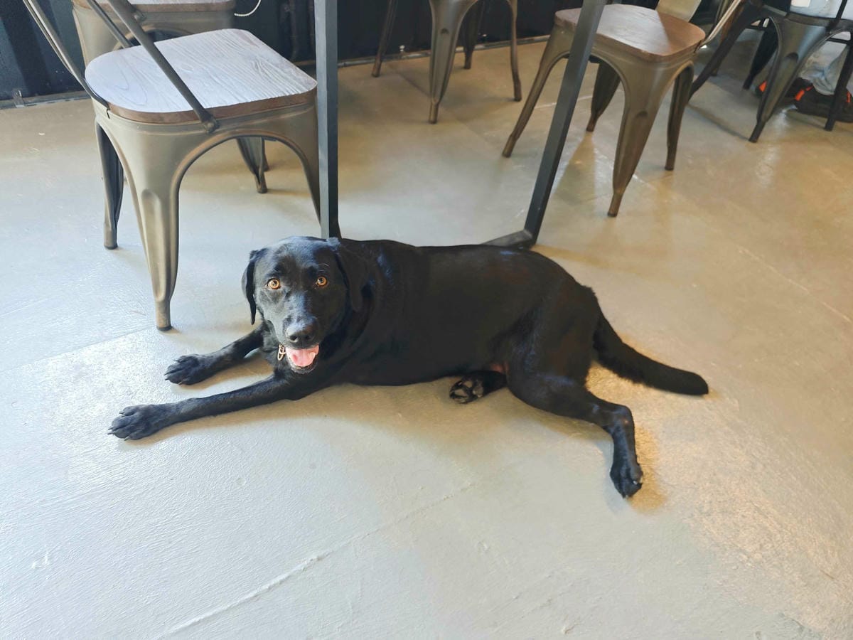 動物空間 (21).jpg 動物空間 (21).jpg