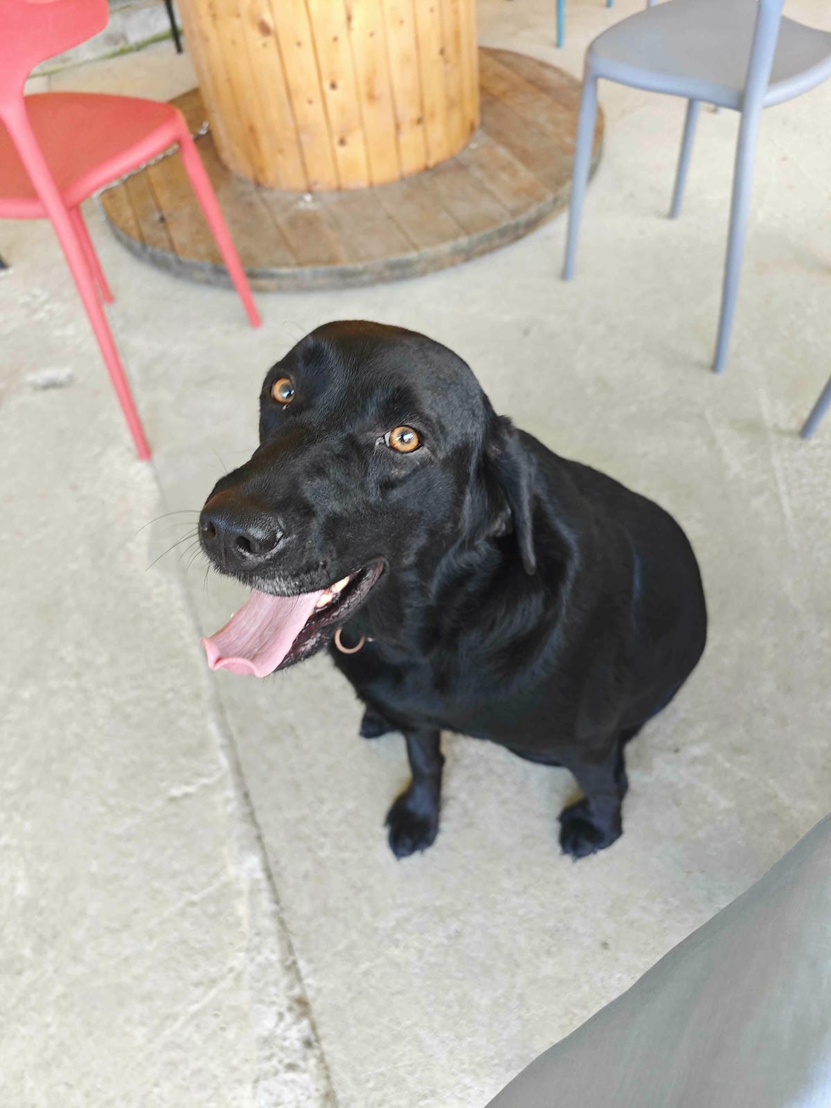 動物空間 (10).jpg 動物空間 (10).jpg