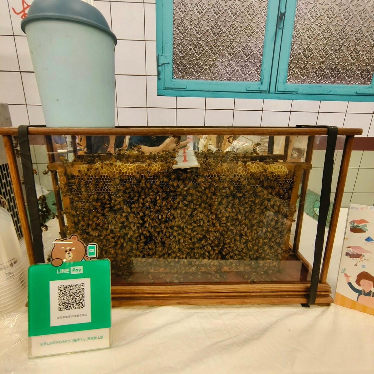 農村繽菓室台中花海 (20).jpg 農村繽菓室台中花海 (20).jpg