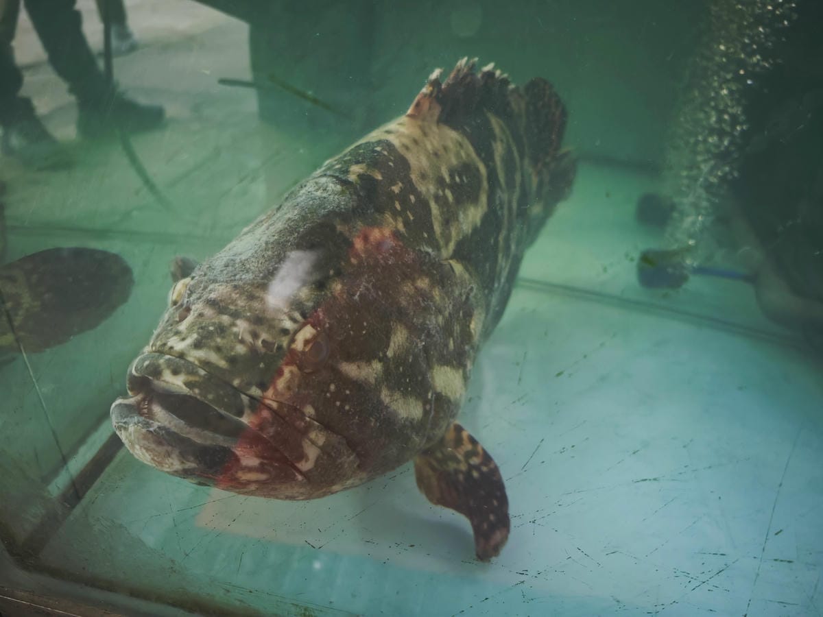 新三興嚐鮮主理 (52)_副本.jpg 新三興嚐鮮主理 (52)_副本.jpg