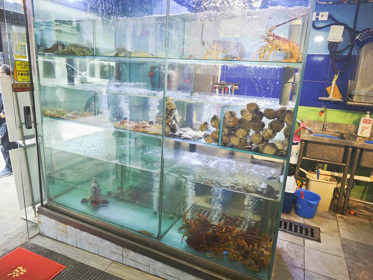 新三興嚐鮮主理 (14)_副本.jpg 新三興嚐鮮主理 (14)_副本.jpg