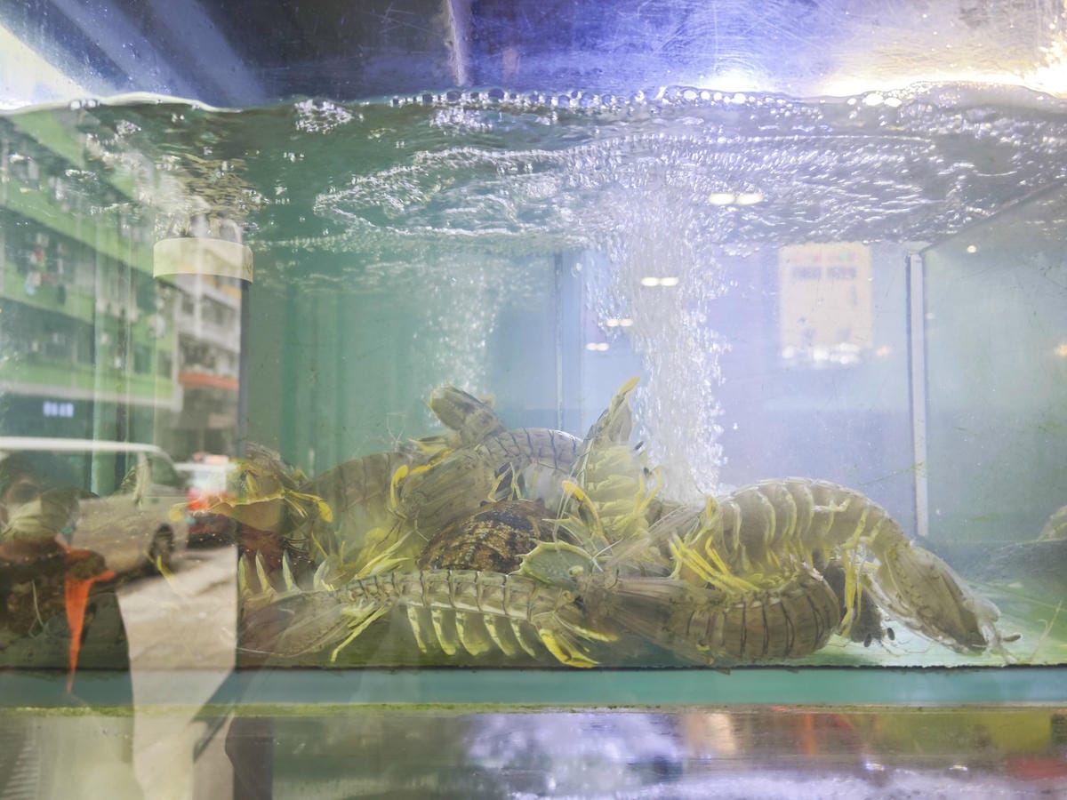 新三興嚐鮮主理 (55)_副本.jpg 新三興嚐鮮主理 (55)_副本.jpg