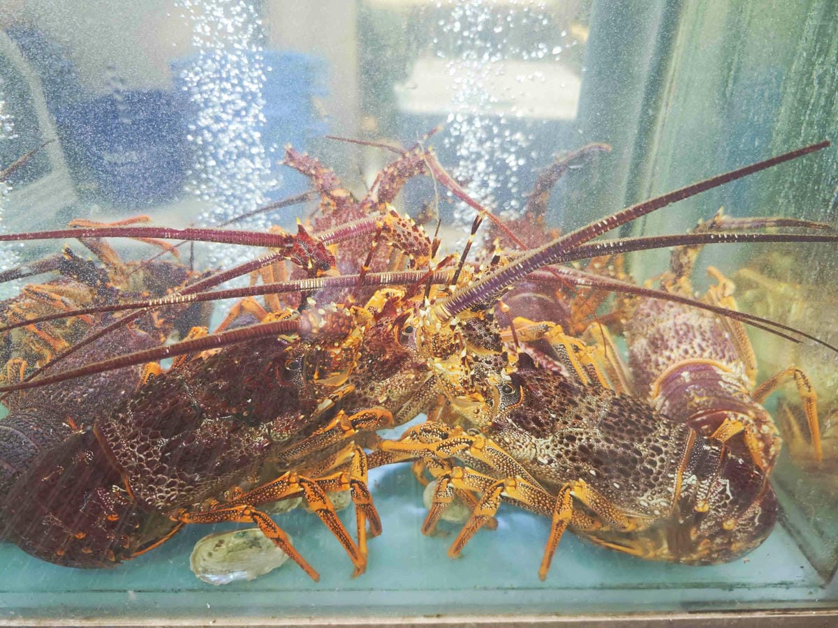 新三興嚐鮮主理 (17)_副本.jpg 新三興嚐鮮主理 (17)_副本.jpg