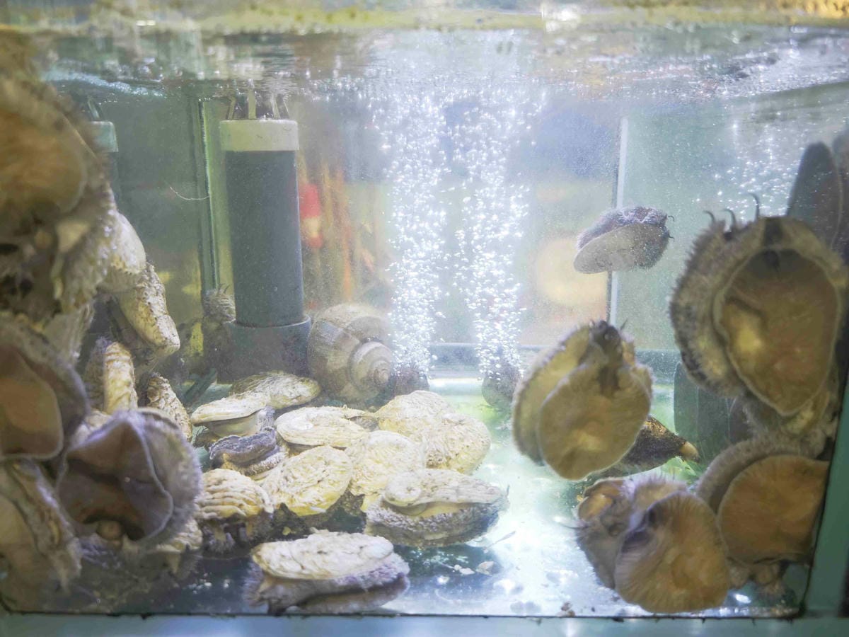 新三興嚐鮮主理 (16)_副本.jpg 新三興嚐鮮主理 (16)_副本.jpg