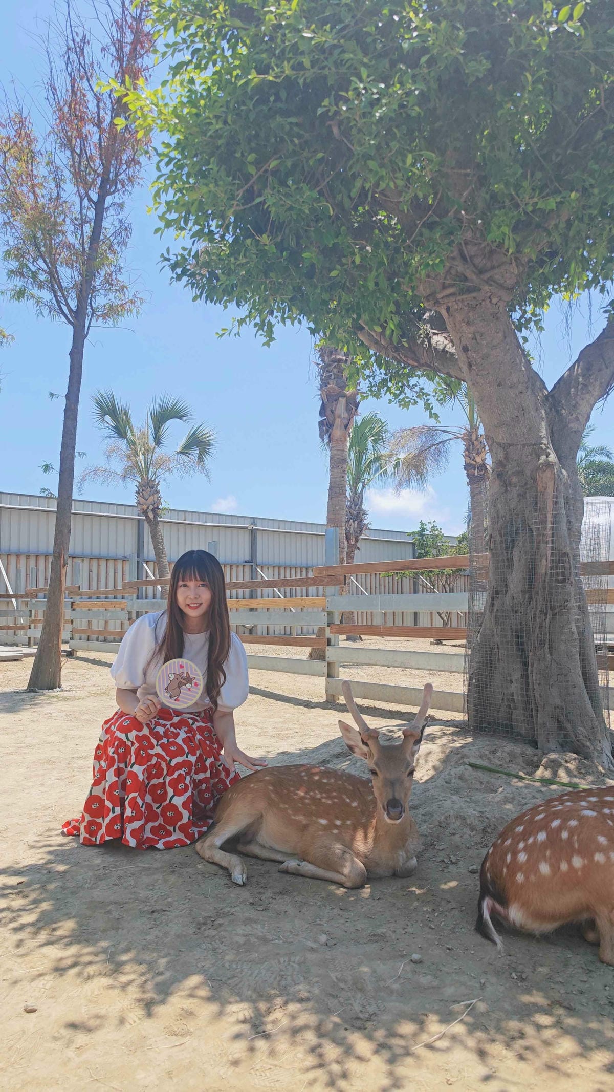 癈物媽媽育兒農場 (67).jpg 癈物媽媽育兒農場 (67).jpg