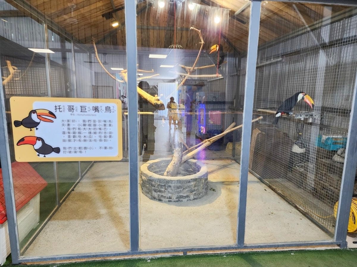 癈物媽媽育兒農場 (51).jpg 癈物媽媽育兒農場 (51).jpg