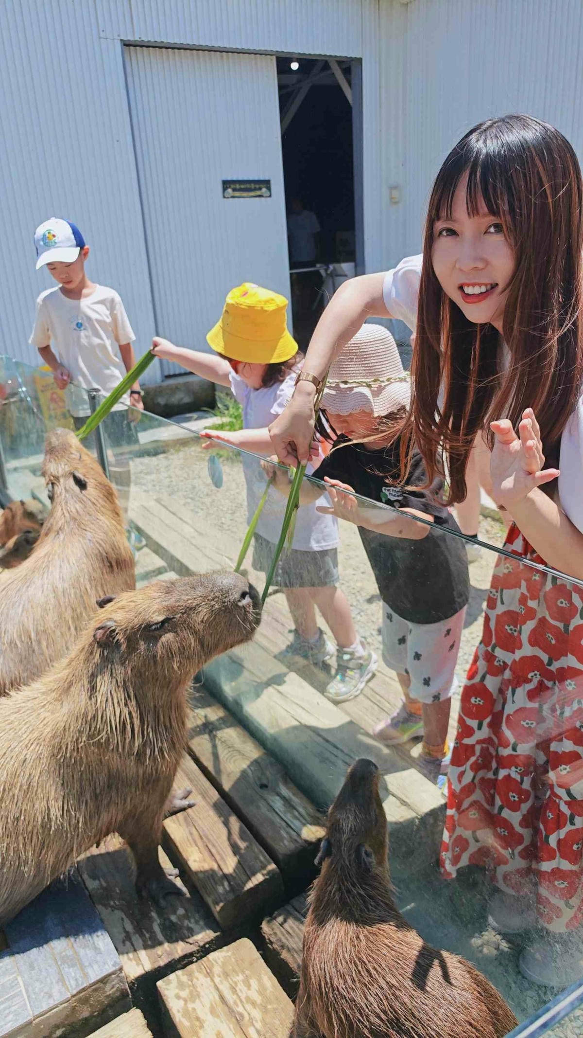 癈物媽媽育兒農場 (61).jpg 癈物媽媽育兒農場 (61).jpg