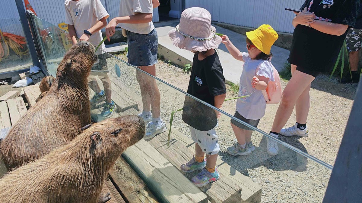 癈物媽媽育兒農場 (60).jpg 癈物媽媽育兒農場 (60).jpg