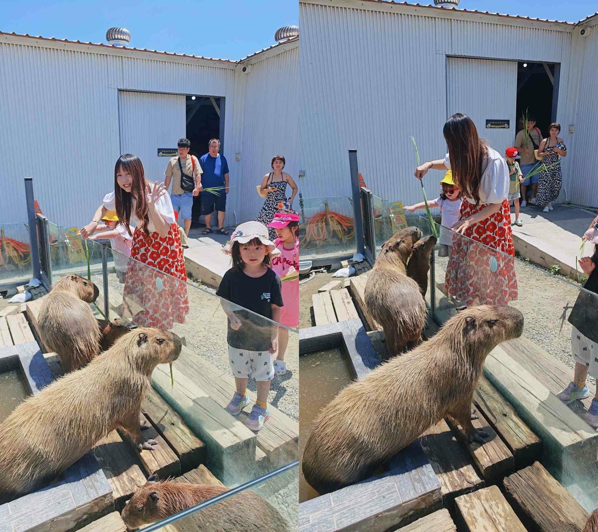 癈物媽媽育兒農場 (62).jpg 癈物媽媽育兒農場 (62).jpg