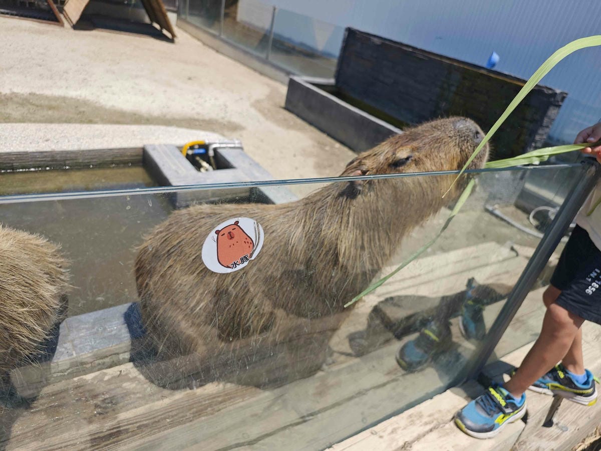 癈物媽媽育兒農場 (7).jpg 癈物媽媽育兒農場 (7).jpg