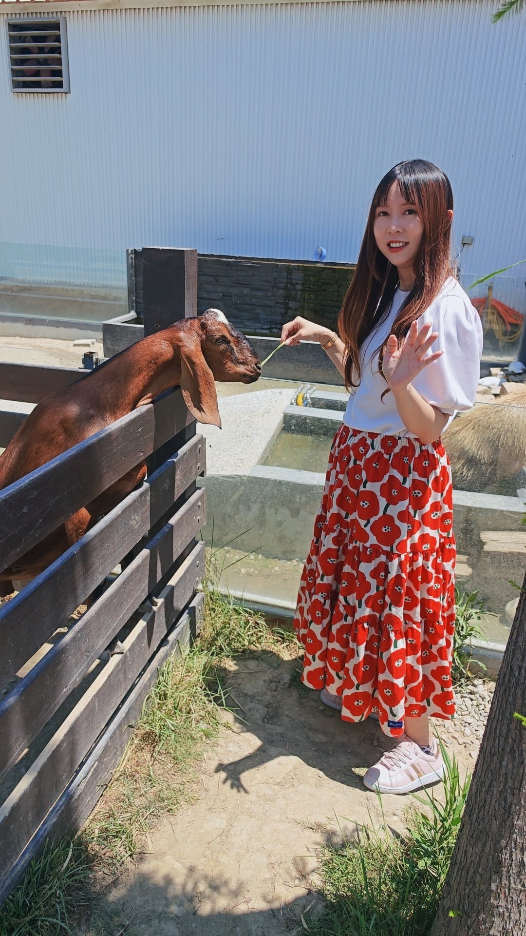 癈物媽媽育兒農場 (63).jpg 癈物媽媽育兒農場 (63).jpg