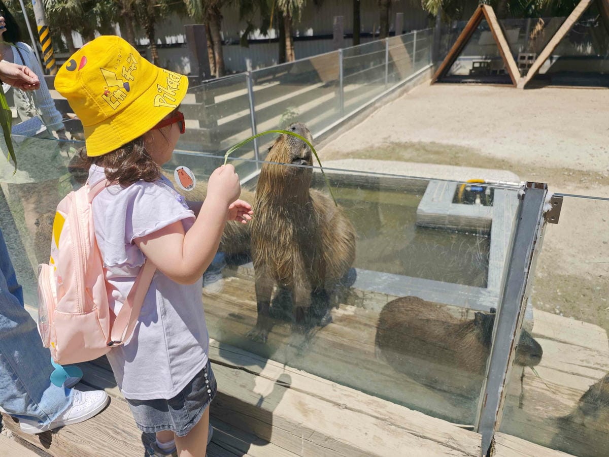 癈物媽媽育兒農場 (5).jpg 癈物媽媽育兒農場 (5).jpg