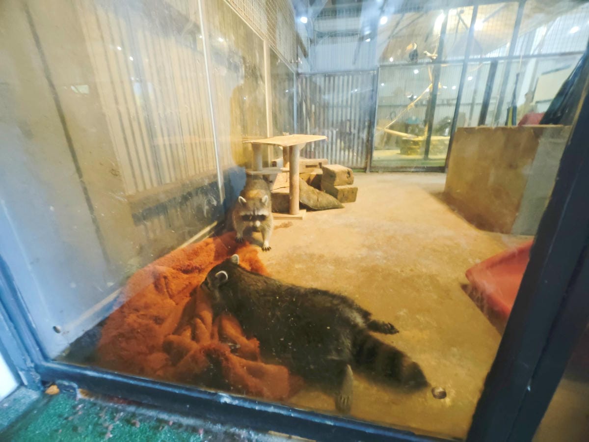 癈物媽媽育兒農場 (2).jpg 癈物媽媽育兒農場 (2).jpg