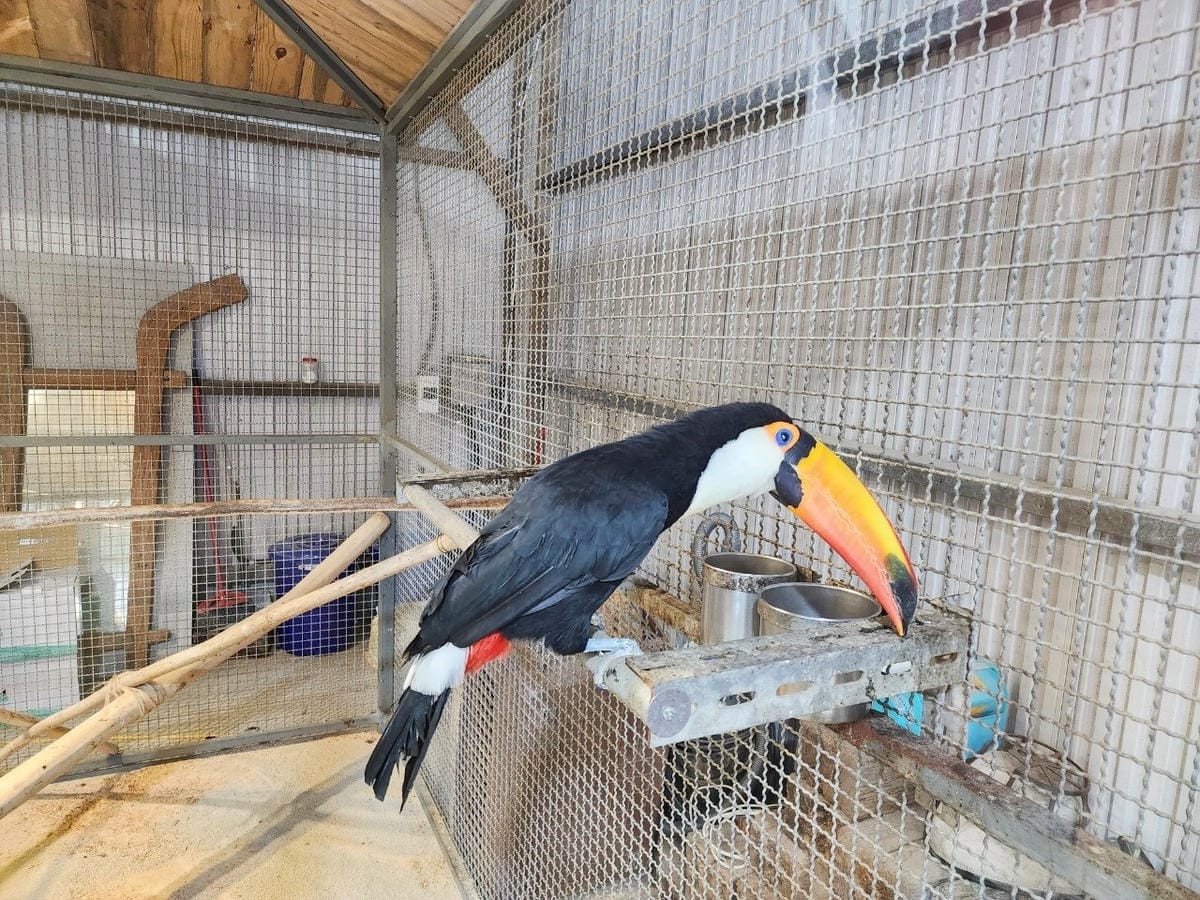 癈物媽媽育兒農場 (52).jpg 癈物媽媽育兒農場 (52).jpg