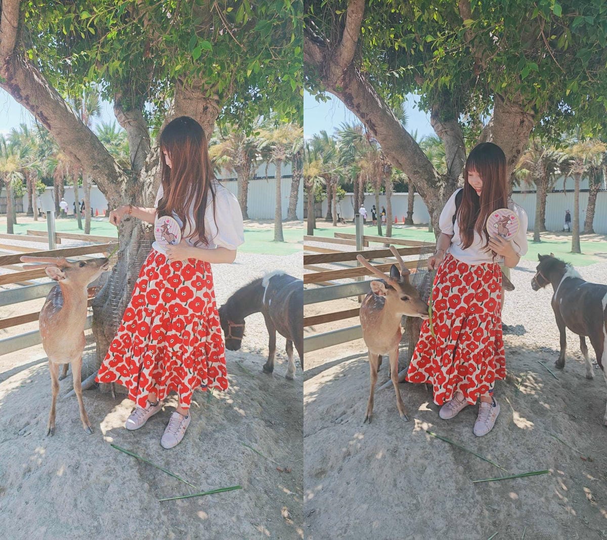 癈物媽媽育兒農場 (65).jpg 癈物媽媽育兒農場 (65).jpg