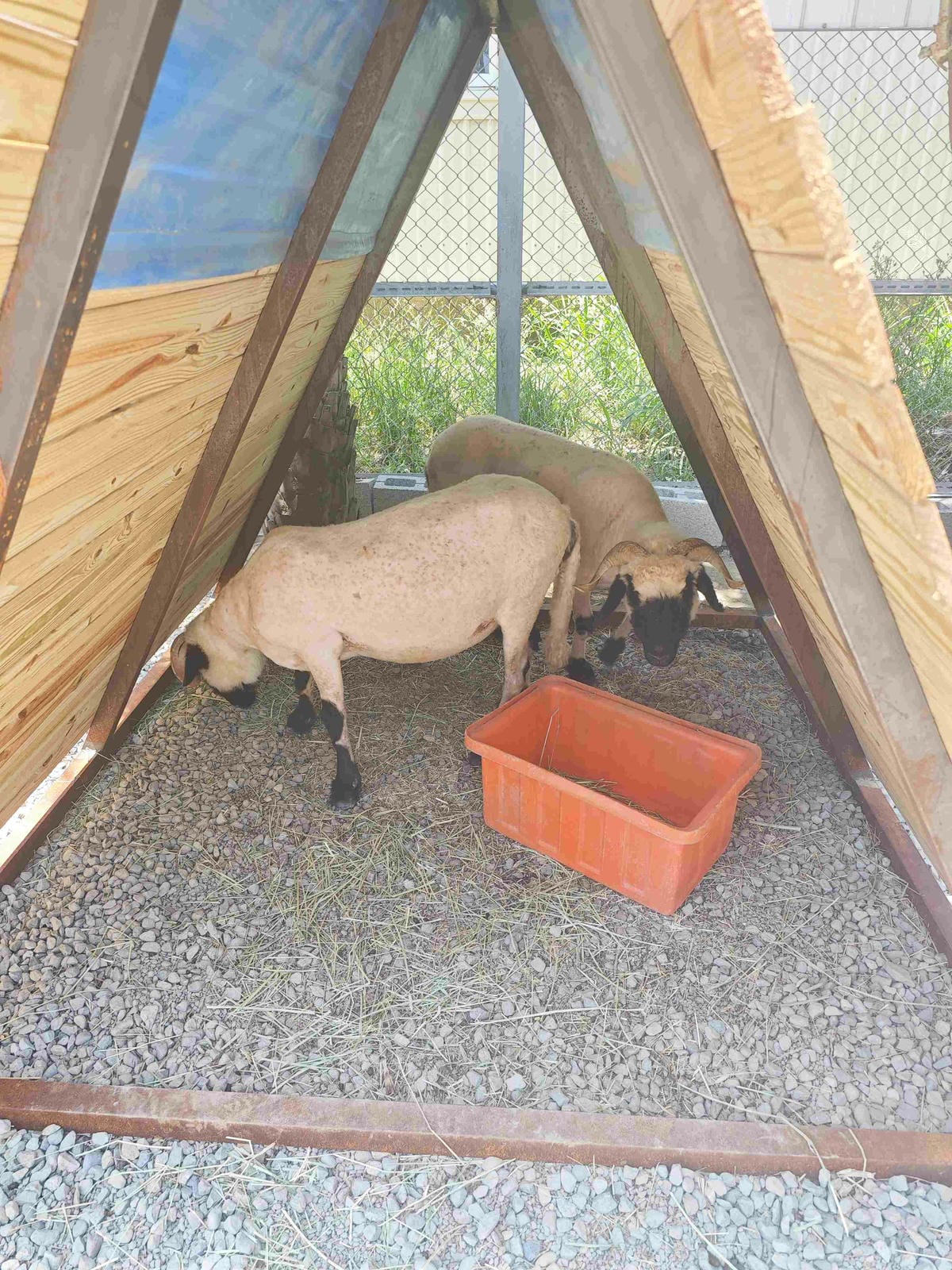 癈物媽媽育兒農場 (17).jpg 癈物媽媽育兒農場 (17).jpg