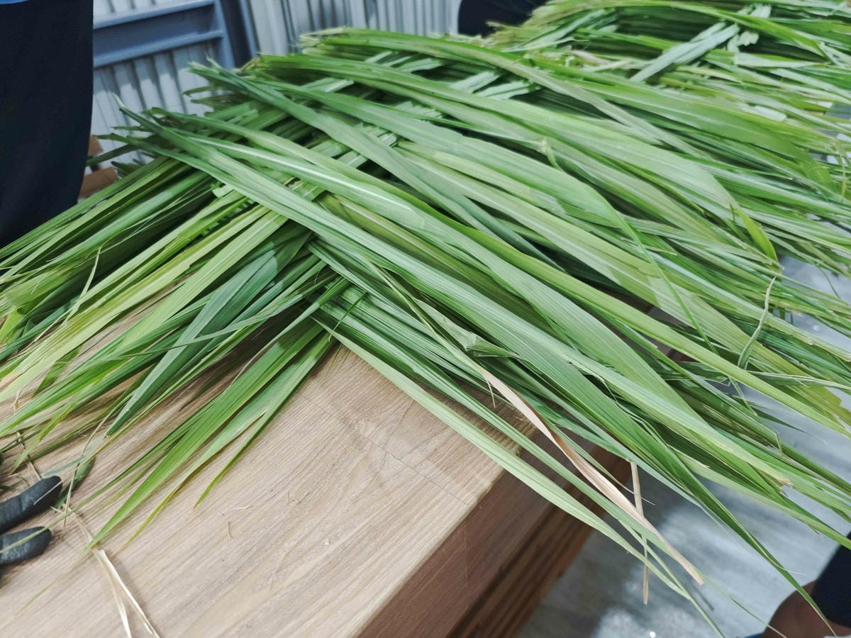 癈物媽媽育兒農場 (4).jpg 癈物媽媽育兒農場 (4).jpg