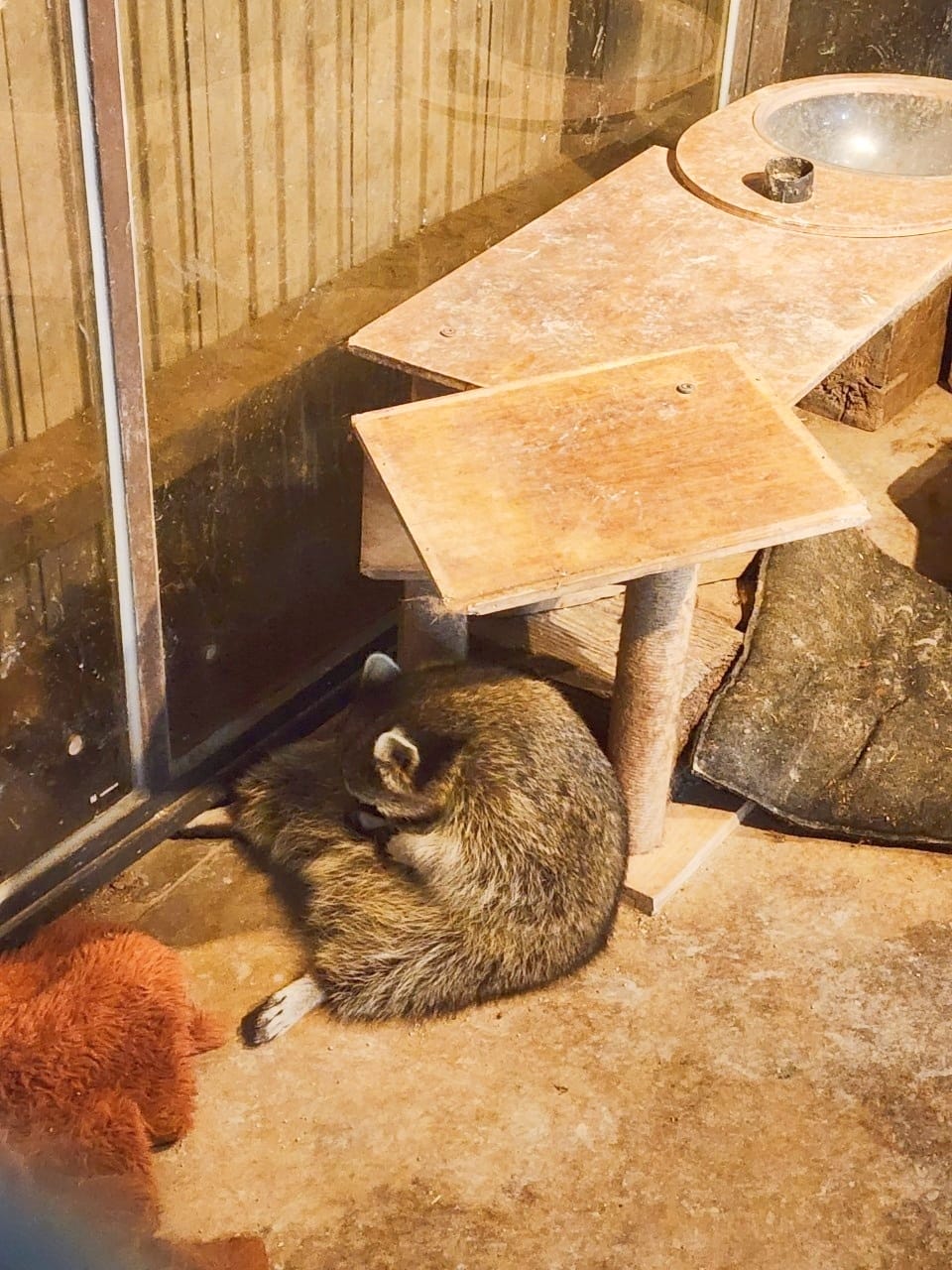 癈物媽媽育兒農場 (53).jpg 癈物媽媽育兒農場 (53).jpg