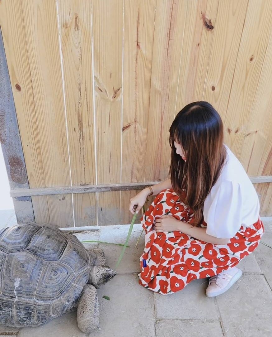 /tmp/phplsq87S /tmp/phplsq87S