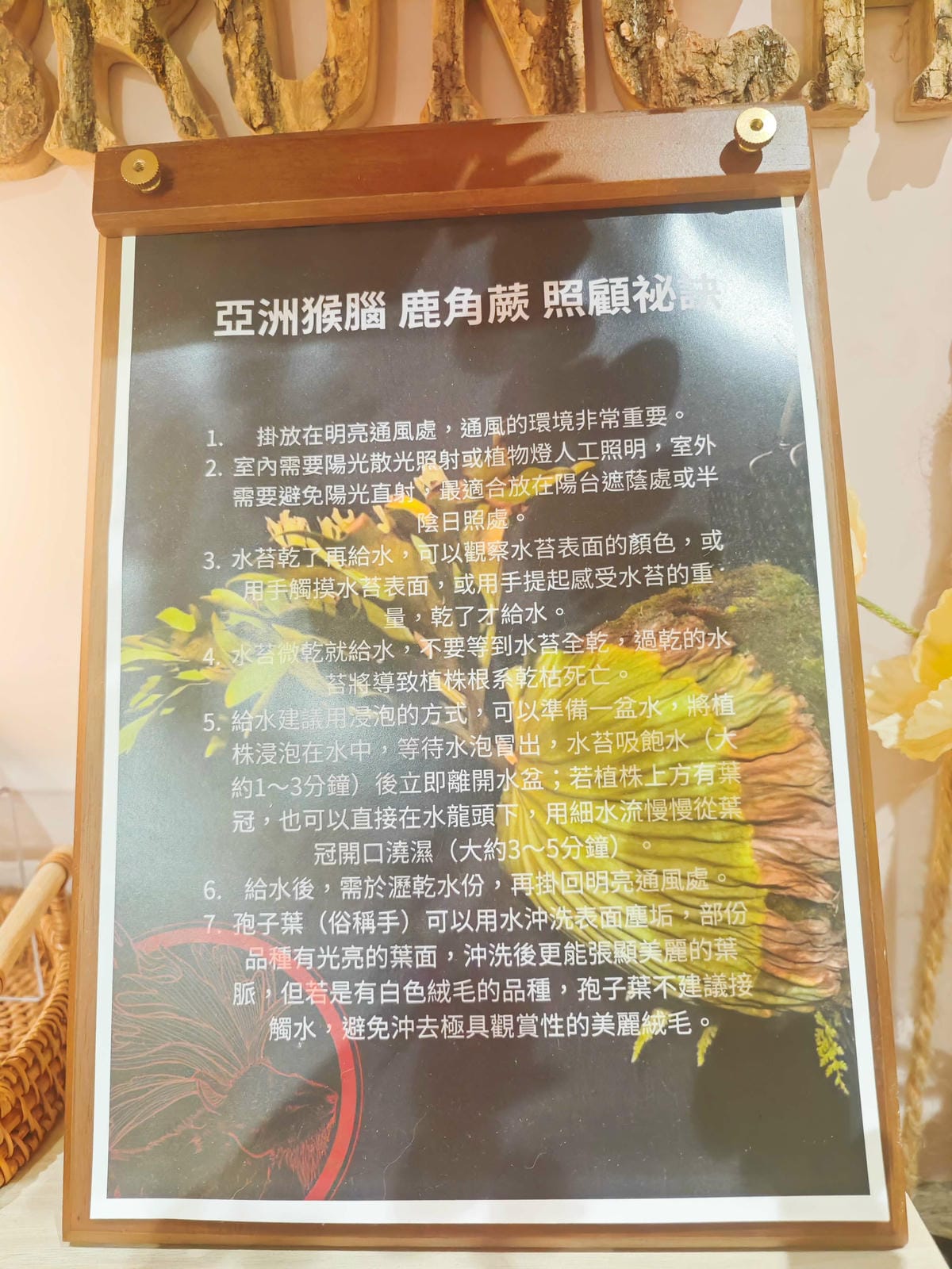 日日朝食-龍岡店 (49).jpg 日日朝食-龍岡店 (49).jpg