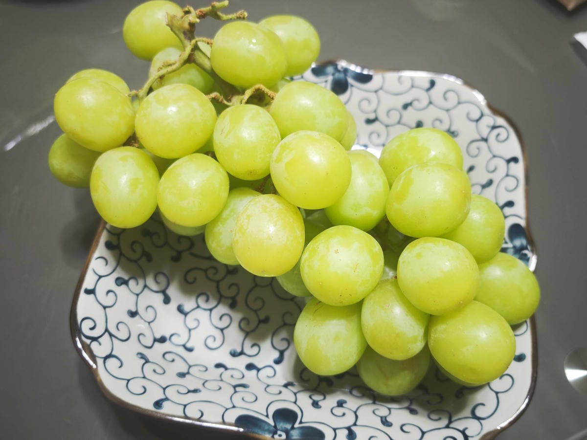 Fresh health輕盈纖女 (13).jpg Fresh health輕盈纖女 (13).jpg