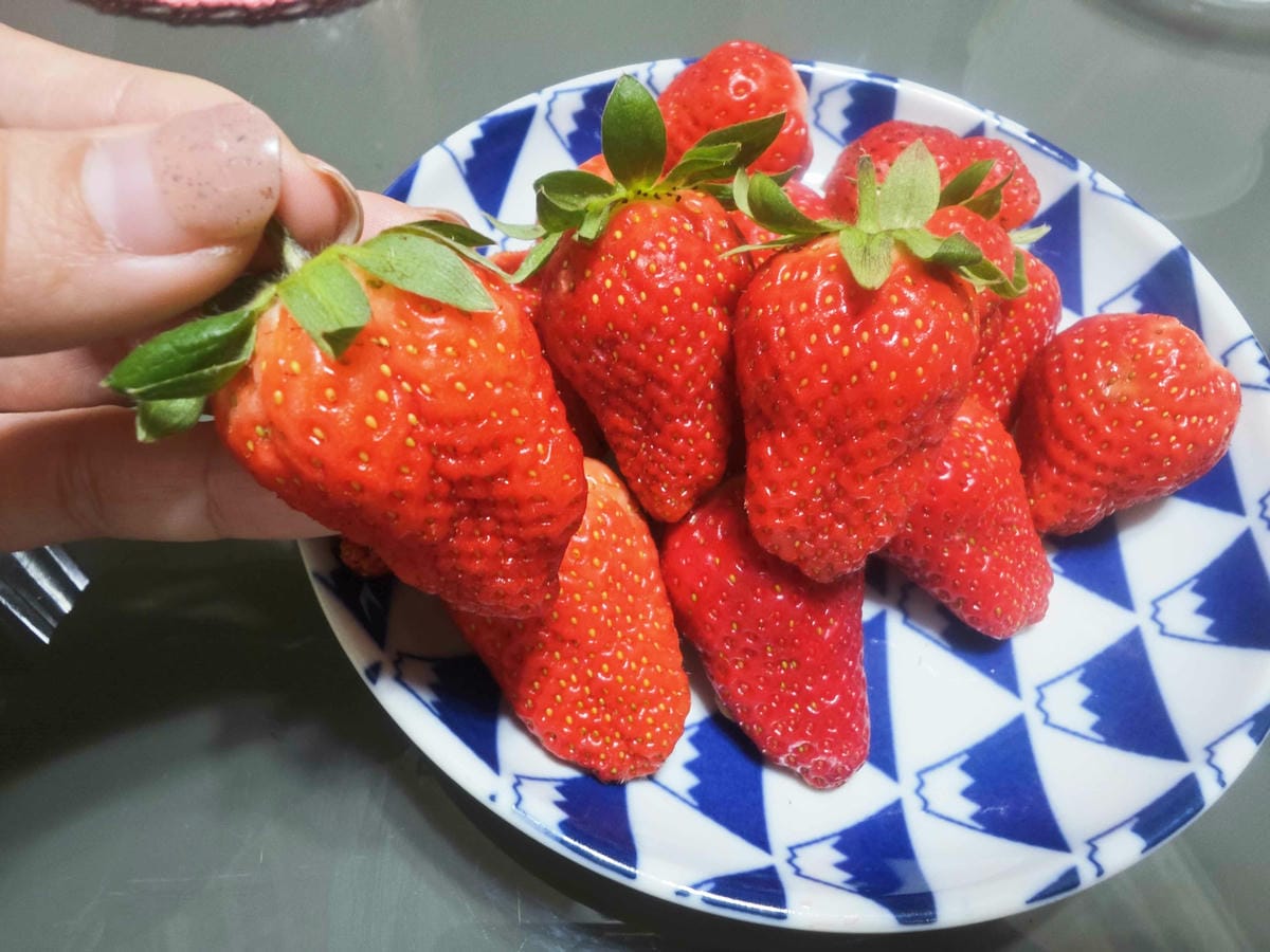 Fresh health輕盈纖女 (12).jpg Fresh health輕盈纖女 (12).jpg