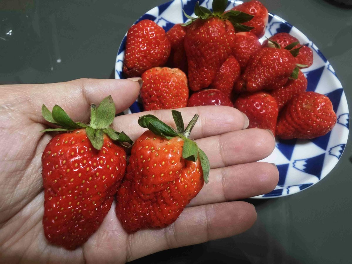 Fresh health輕盈纖女 (50).jpg Fresh health輕盈纖女 (50).jpg