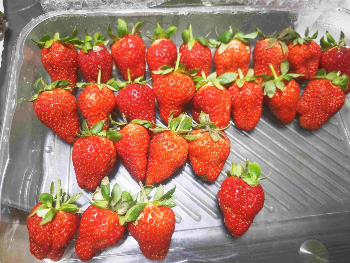 Fresh health輕盈纖女 (11).jpg Fresh health輕盈纖女 (11).jpg