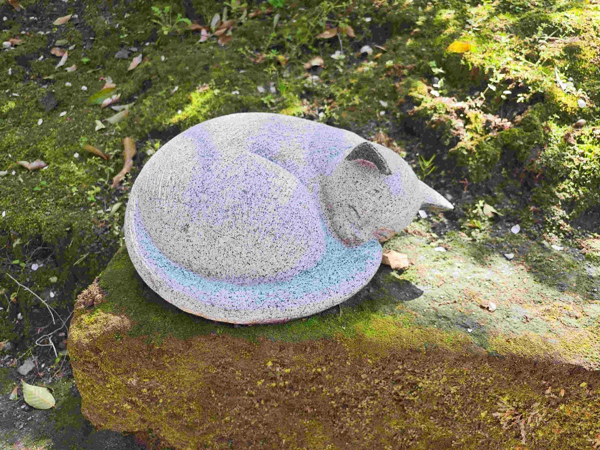 IMG_20250408_133721_副本.jpg IMG_20250408_133721_副本.jpg