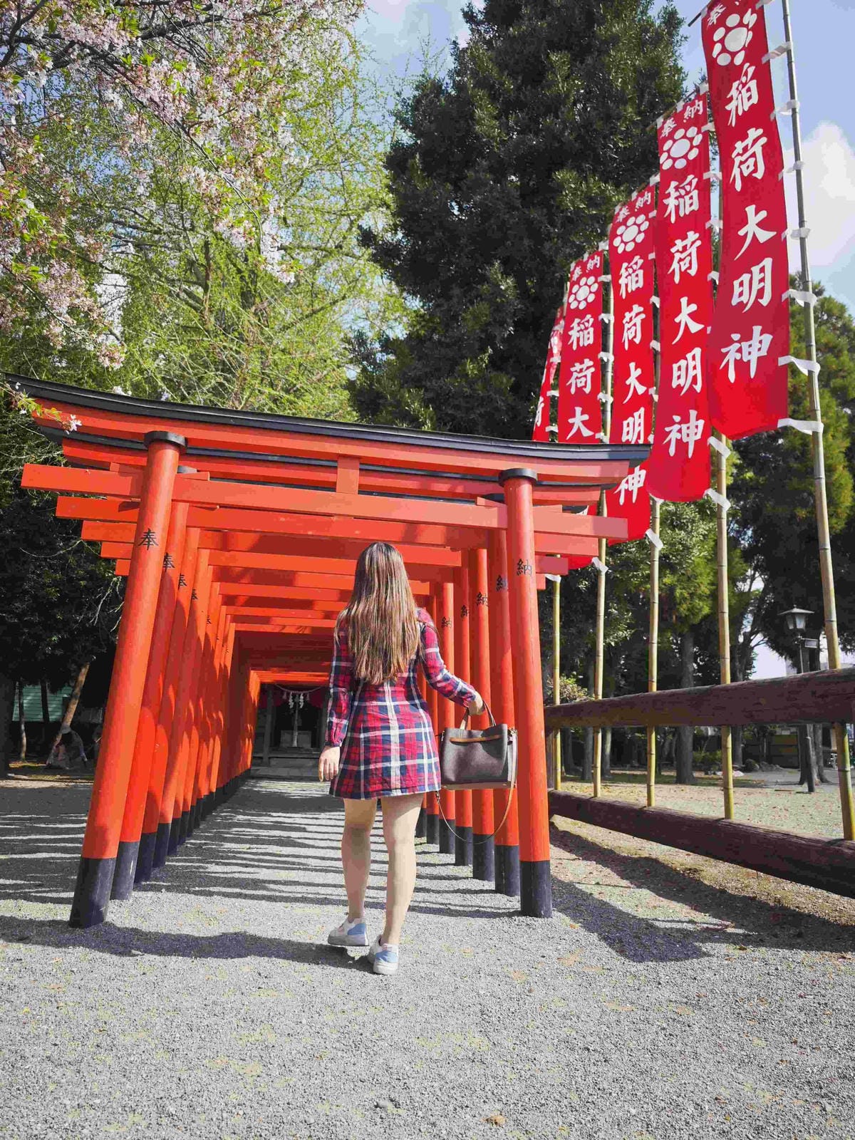 麗星郵輪岸上熊本 (29).jpg 麗星郵輪岸上熊本 (29).jpg