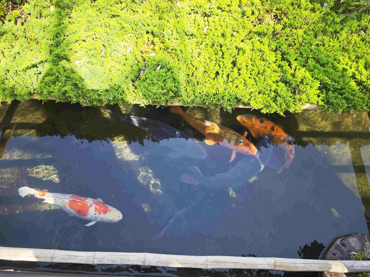 IMG_20250408_085821_副本.jpg IMG_20250408_085821_副本.jpg