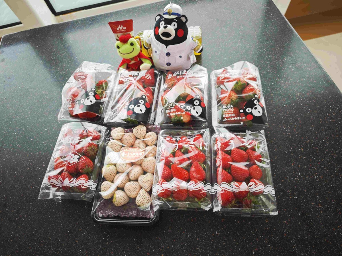 麗星郵輪岸上熊本 (71).jpg 麗星郵輪岸上熊本 (71).jpg